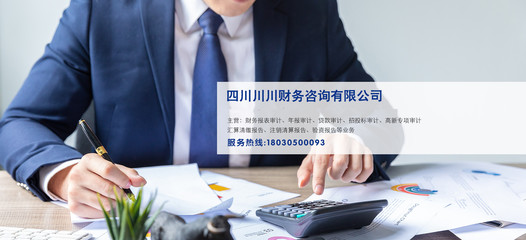 成功案例 財務(wù)咨詢?nèi)绾沃ζ髽I(yè)實現(xiàn)逆勢增長